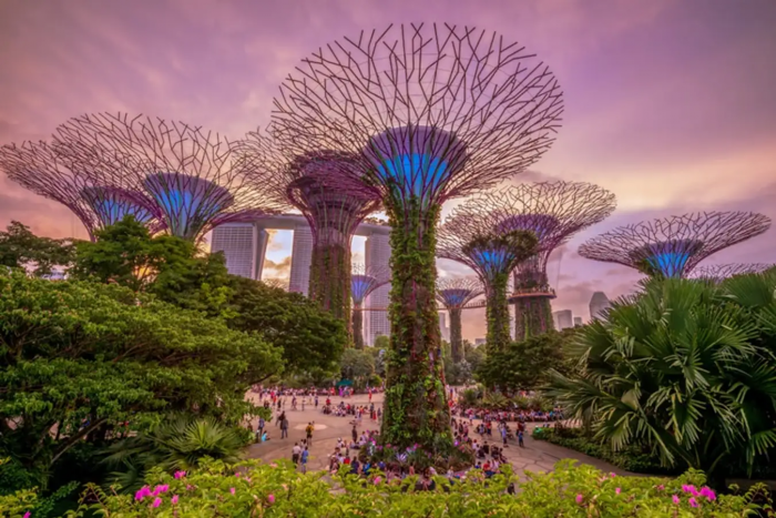 Garden By The Bay - Vườn Địa Đàng Singapore