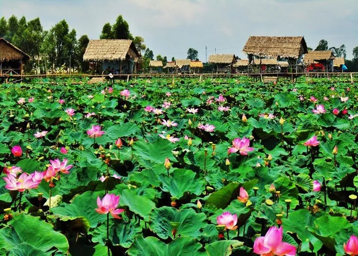 Top 10+ Công Ty Du Lịch Uy Tín Tại Đồng Tháp Năm 2026