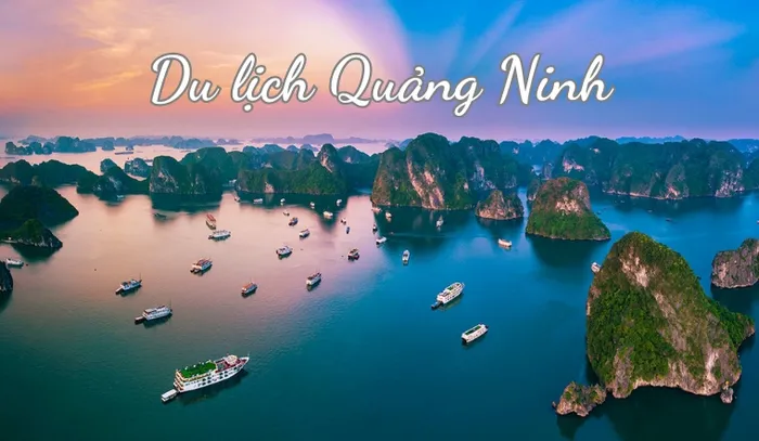 Top 10+ Công Ty Du Lịch Uy Tín Tại Quảng Ninh Năm 2026