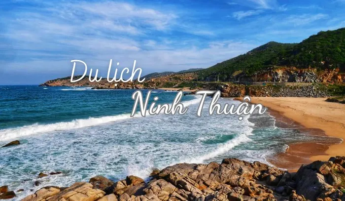 Top 10+ Công Ty Du Lịch Uy Tín Tại Ninh Thuận Năm 2026
