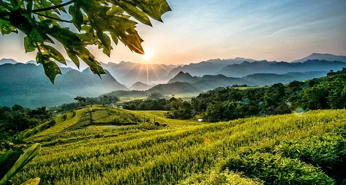Top 10+ Công Ty Du Lịch Uy Tín Tại Thanh Hóa Năm 2026