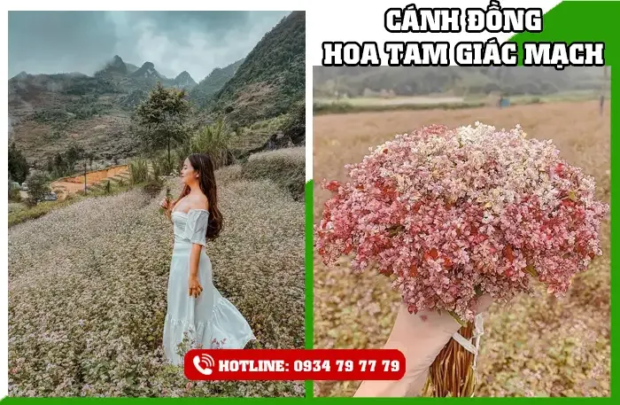 Tour Du Lịch Hà Giang 5 Ngày 4 Đêm 6