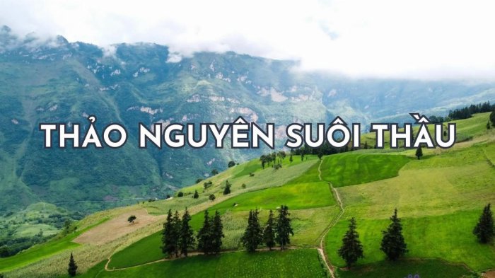 Review Thảo nguyên Suối Thầu Hà Giang