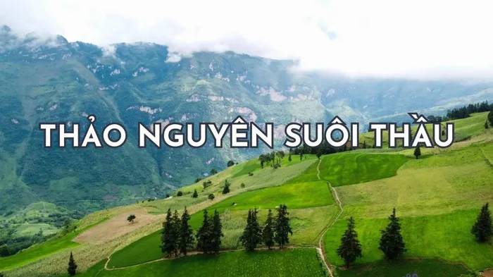 Review Thảo nguyên Suối Thầu Hà Giang