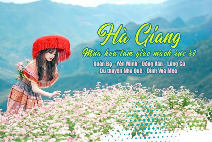 Review Những Mùa Hoa Đẹp Nhất Hà Giang