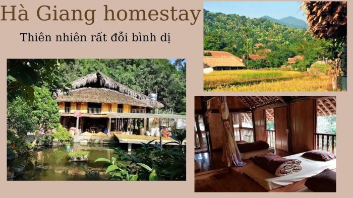 Review TOP Những Homestay View Đẹp Ở Hà Giang 