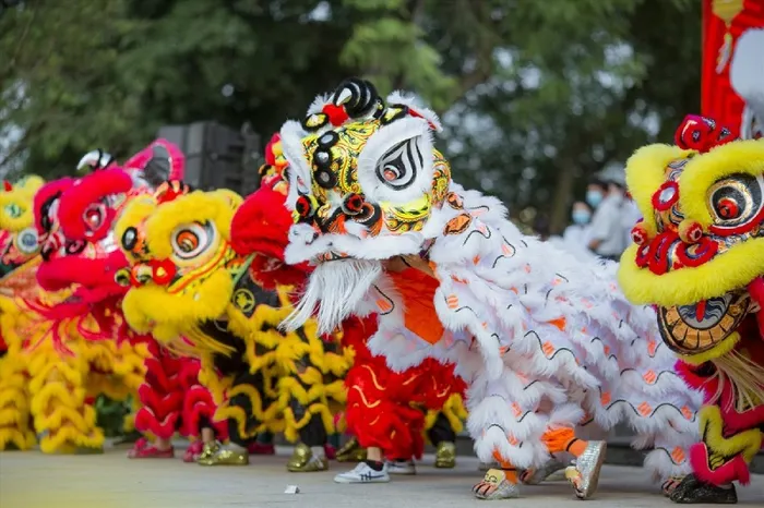 Top tiết mục múa lân ấn tượng nhất cho sự kiện