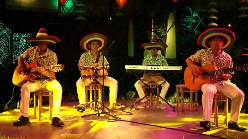 Ban Nhạc Flamenco – Latin: Đốt Cháy Sân Khấu – Cảm Xúc Thăng Hoa